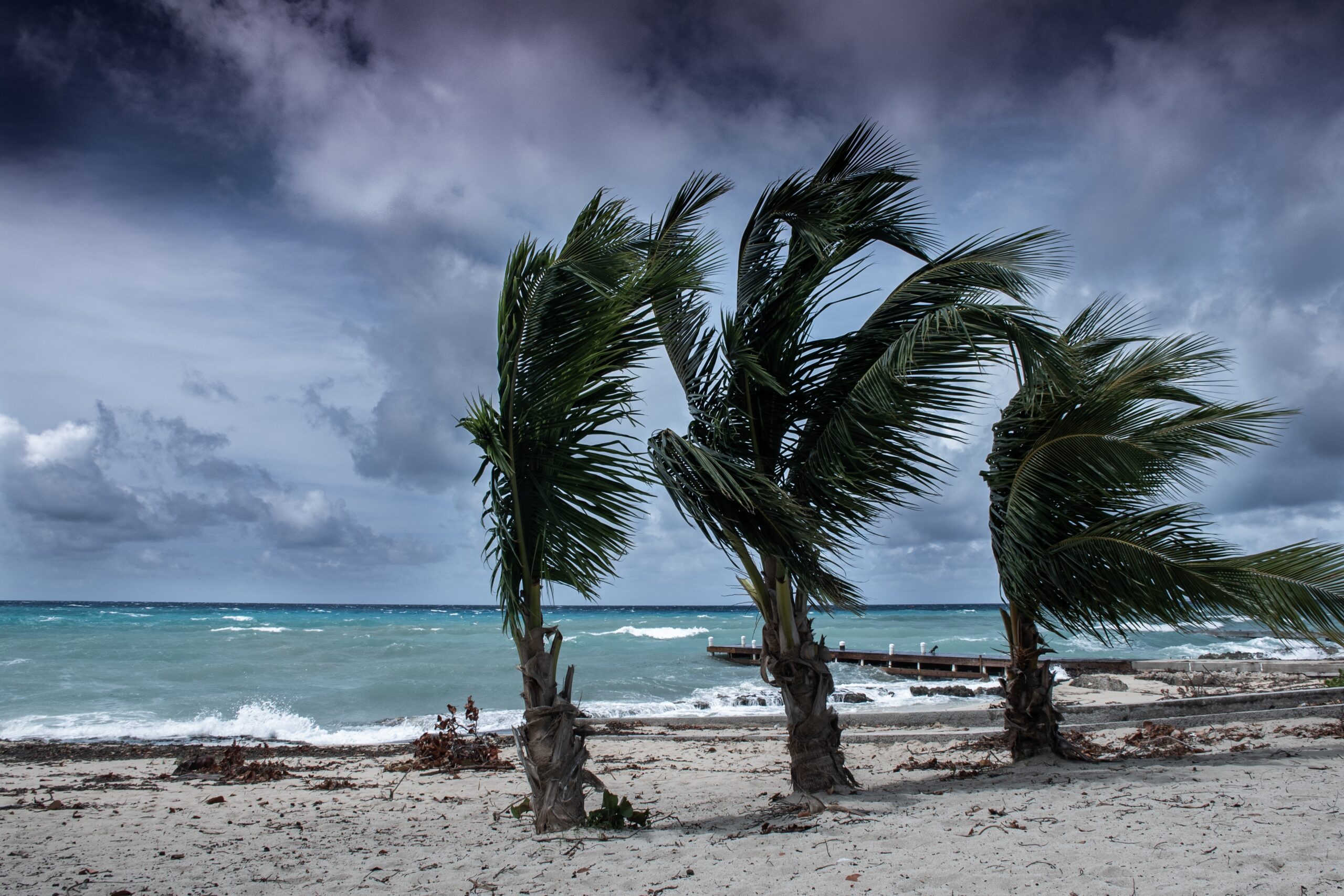Image for Braving the Storms: Despite Hurricane Risks, Renters Still Drawn to U.S. Gulf Coast Living